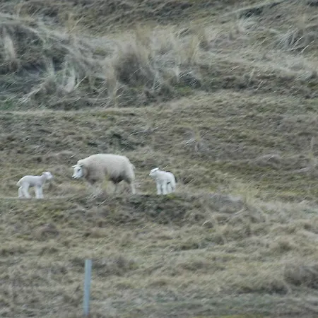 Aangenaam Texel 1 Daire *