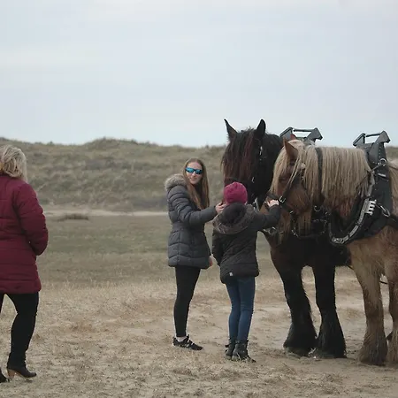 Aangenaam Texel 1 Apartman